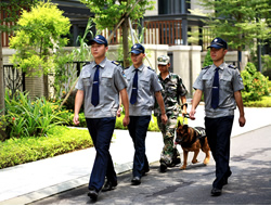 警犬長期派駐服務